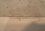 Imperial Palace, Vienna — Proof Etching