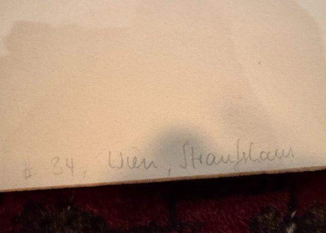 Vienna, Johann Strauss House, Salmannsdorf