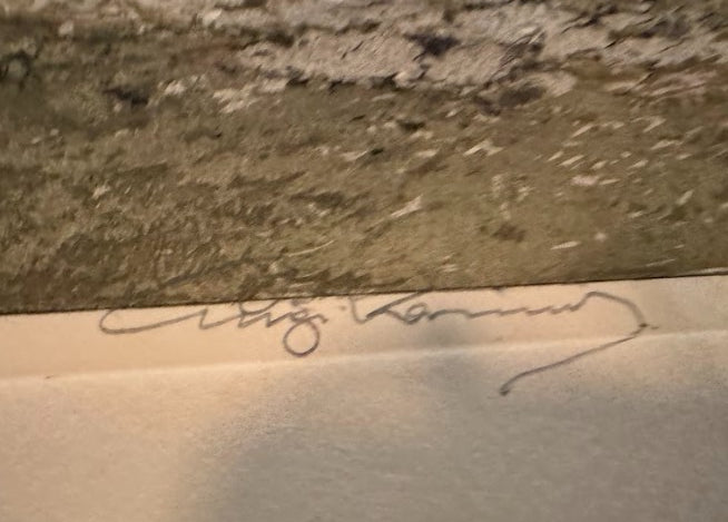 Vienna, Johann Strauss House, Salmannsdorf