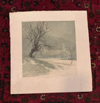 Winter Day on the Danube