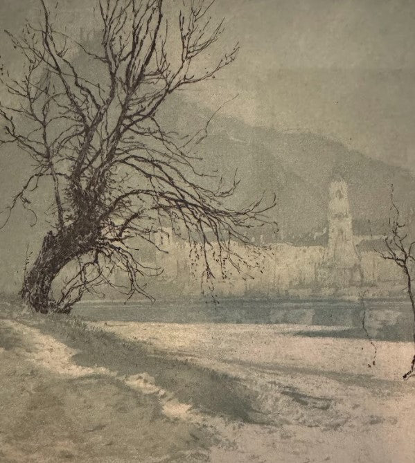 Winter Day on the Danube