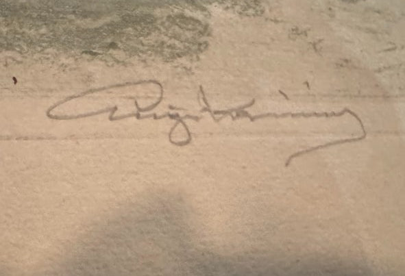 Winter Day on the Danube