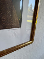 1976 Andrew Wyeth Limited Edition Collotype: “Nogeeshik”, Framed