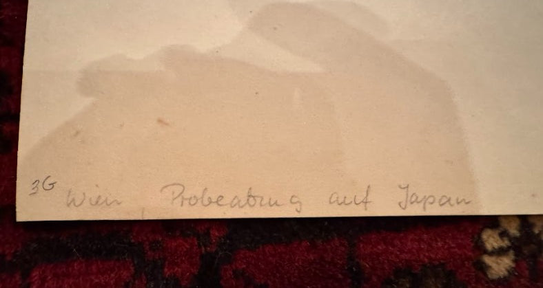 Wien (Vienna), Artist proof on Japanese paper (washi)