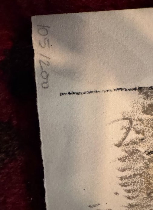 Baroque Palace, Oradea, Romania, Artist proof, editioned 105/200