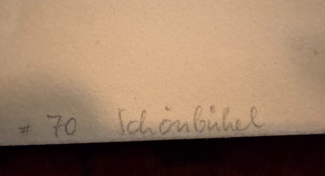 Schönbühel on the Danube, Print no. 70