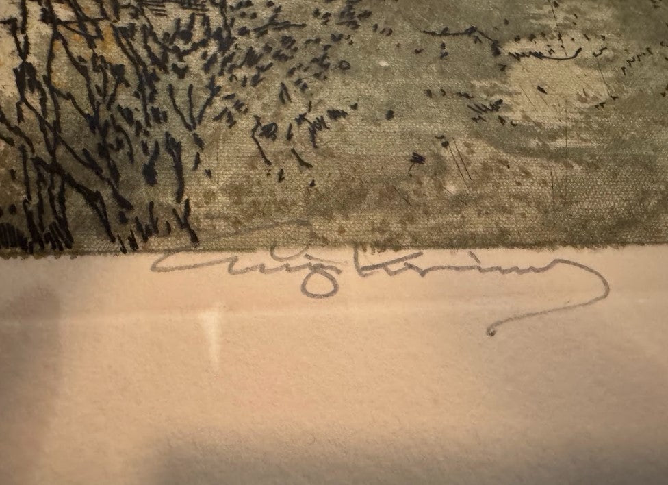 Schönbühel on the Danube, Print no. 70