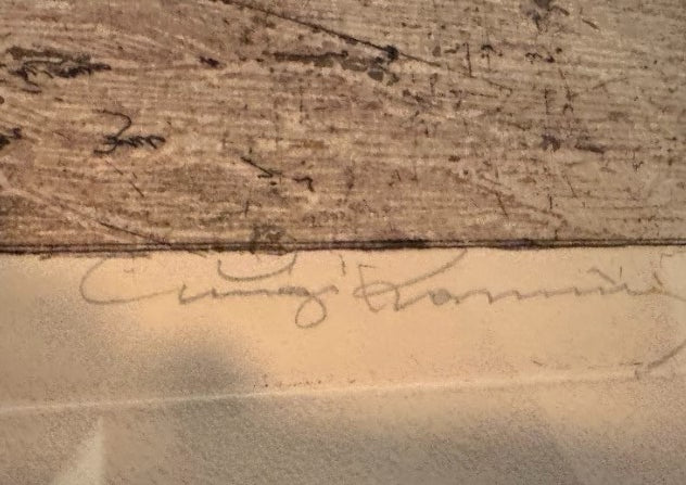 Jagellonian Library / Courtyard, Kraków (Krakau), Poland, 1941