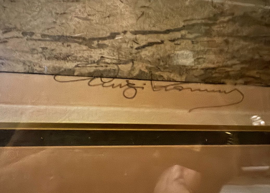 Vienna Opera House, Opernring, Catalogue no. 274 (Halm & Goldmann)